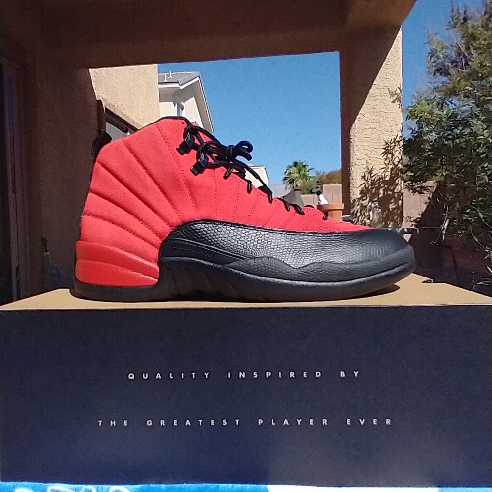 Jordan 12 Reverse Flu Games Size 11.5